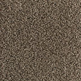 Active-SDN – 007670