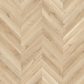 Dynamic Hongaarse Punt – 754h12