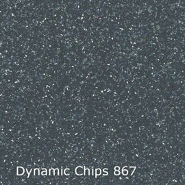 Dynamic Chips – 744867