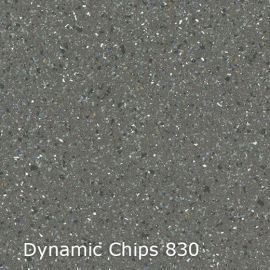 Dynamic Chips – 744830