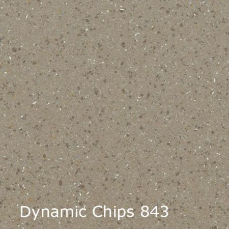 Vinyl Dynamic Chips 744843