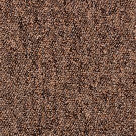 Robusta Project-SDN – 480450