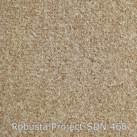 Robusta Project-SDN – 480468