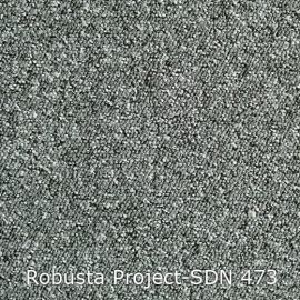 Robusta Project-SDN – 480473