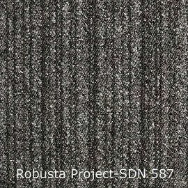 Robusta Project-SDN – 480587