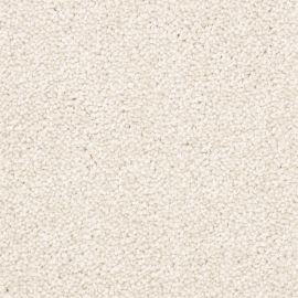 Ravenna SDY – 470531