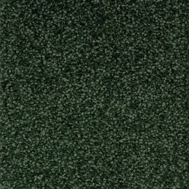 Ravenna SDY – 470551