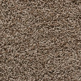 Bologna SDY – 047235