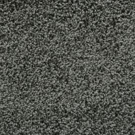 Bologna SDY – 047255