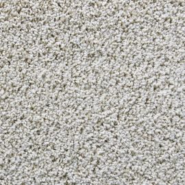 Bologna SDY – 047271