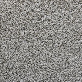 Bologna SDY – 047273