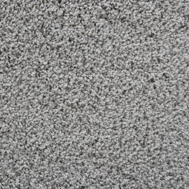 Bologna SDY – 047281