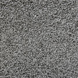 Bologna SDY – 047283