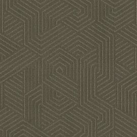 Tapijt Infinity Geometric Groen 0901