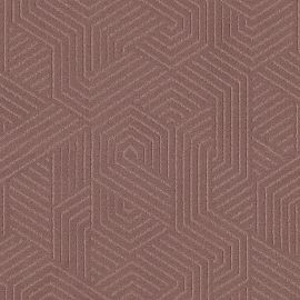 Tapijt Infinity Geometric Roze 01100
