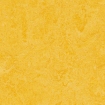 Marmoleum click Lemon Zest Squares 333251