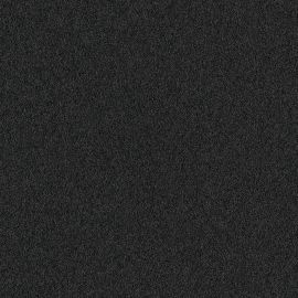 Entrance schoonloopmat Grafiet 0180 Afm. 60x80cm