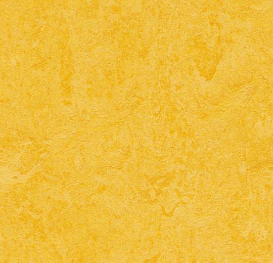 Marmoleum click Lemon Zest aanbieding - bestel online voor scherpe prijs